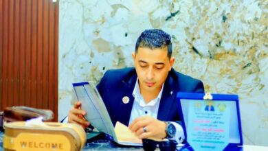 المستشار محمد كريم